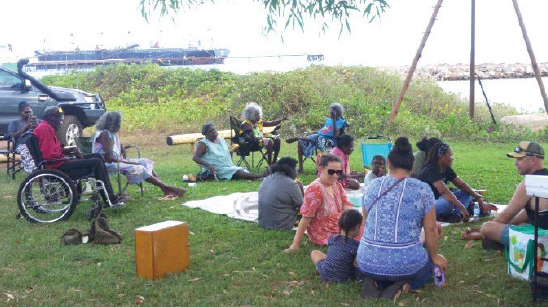 Members of the NT community gathered on a lawn near the ocean, meeting with the NDIS Review Panel.