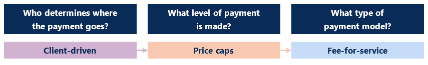 An infographic outlining the current pricing and payment approach in the NDIS: 'Clients’ currently determine where the payment goes; Price caps and other price controls currently set the level of payment; Fee-for-service is currently used as the payment model to pay providers.