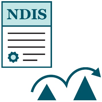 An NDIS document , and an arrow going over 2 obstacles of different sizes.